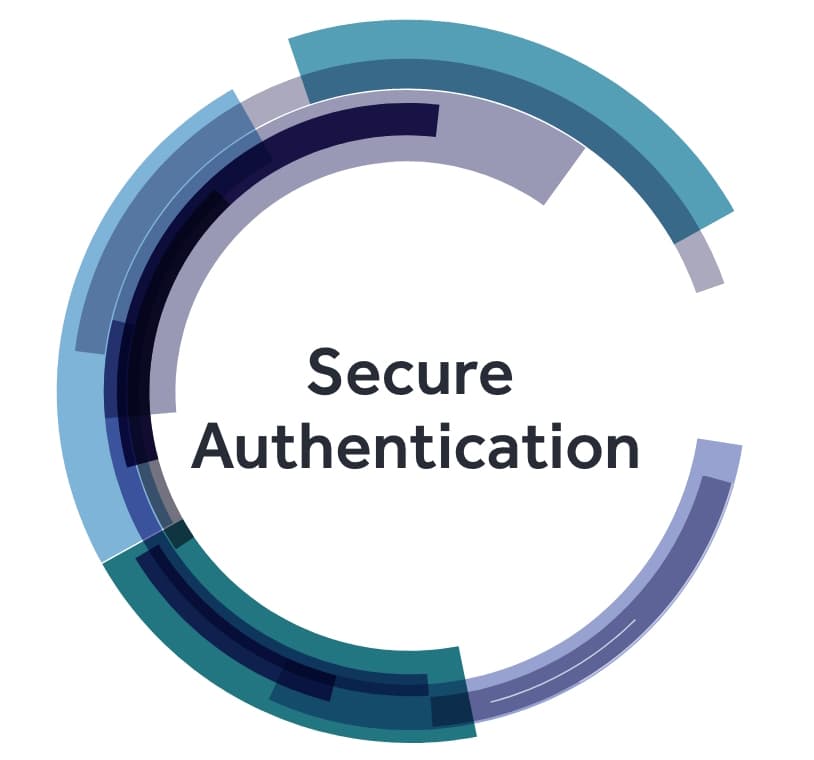 Secure authentication icon.